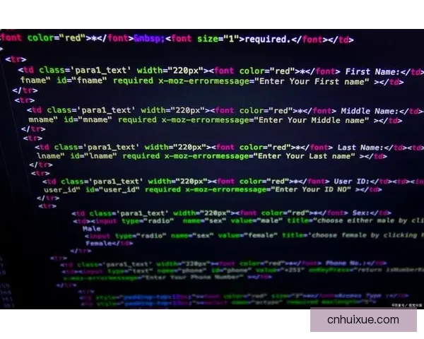 全面深入探索预算之星2008破解版功能亮点与高效实用应用指南